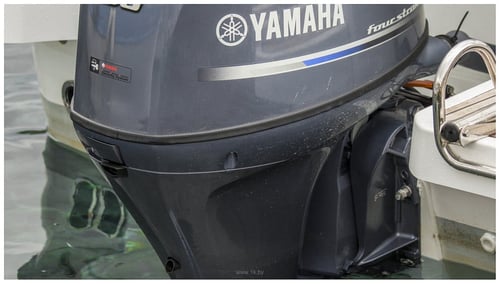 Лодочный мотор YAMAHA F115BETL 4х-тактный