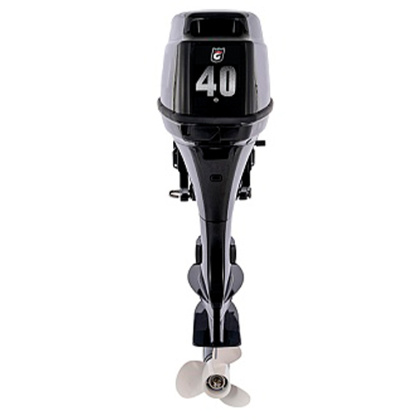 1 Лодочный мотор GOLFSTREAM T 40 FWS
