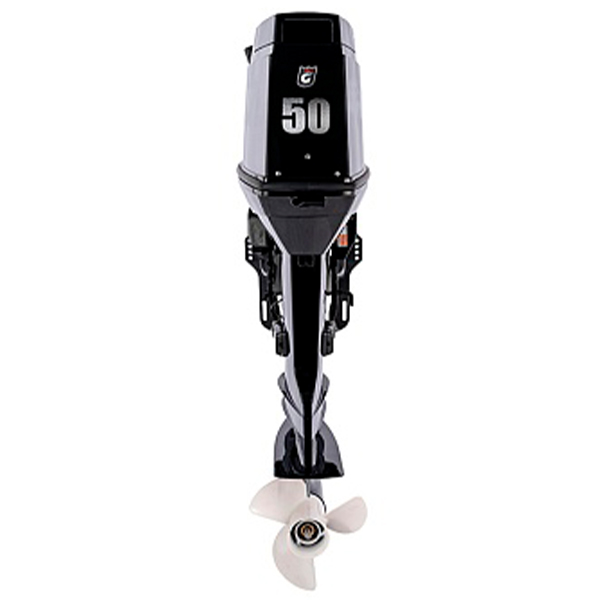 1 Лодочный мотор GOLFSTREAM T 50 BWL-D