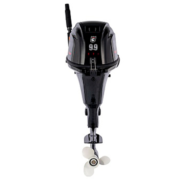 12b575c20bda9edc4b2823bcc438ca5b Лодочный мотор GOLFSTREAM F 9.9 ABWS Enduro EFI