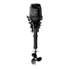 498b767318f565a1f0ac0c7789db753a Лодочный мотор Parsun T 9.9 BMS PRO