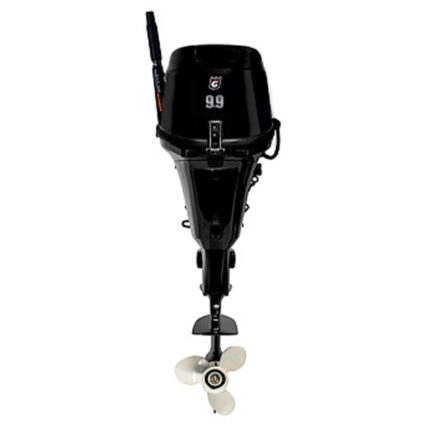 Лодочный мотор GOLFSTREAM F 9.9 ABMS Enduro